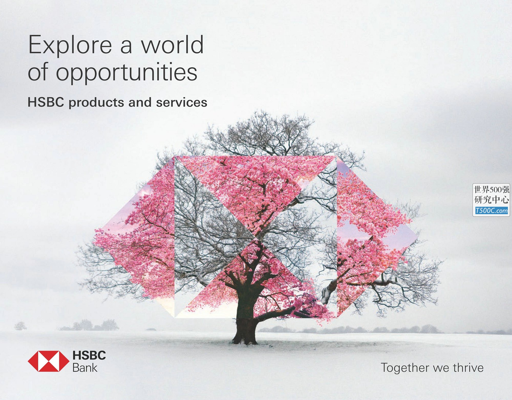 汇丰银行HSBC_业务宣传册Brochure_T500C.com_Universal Brochure.pdf