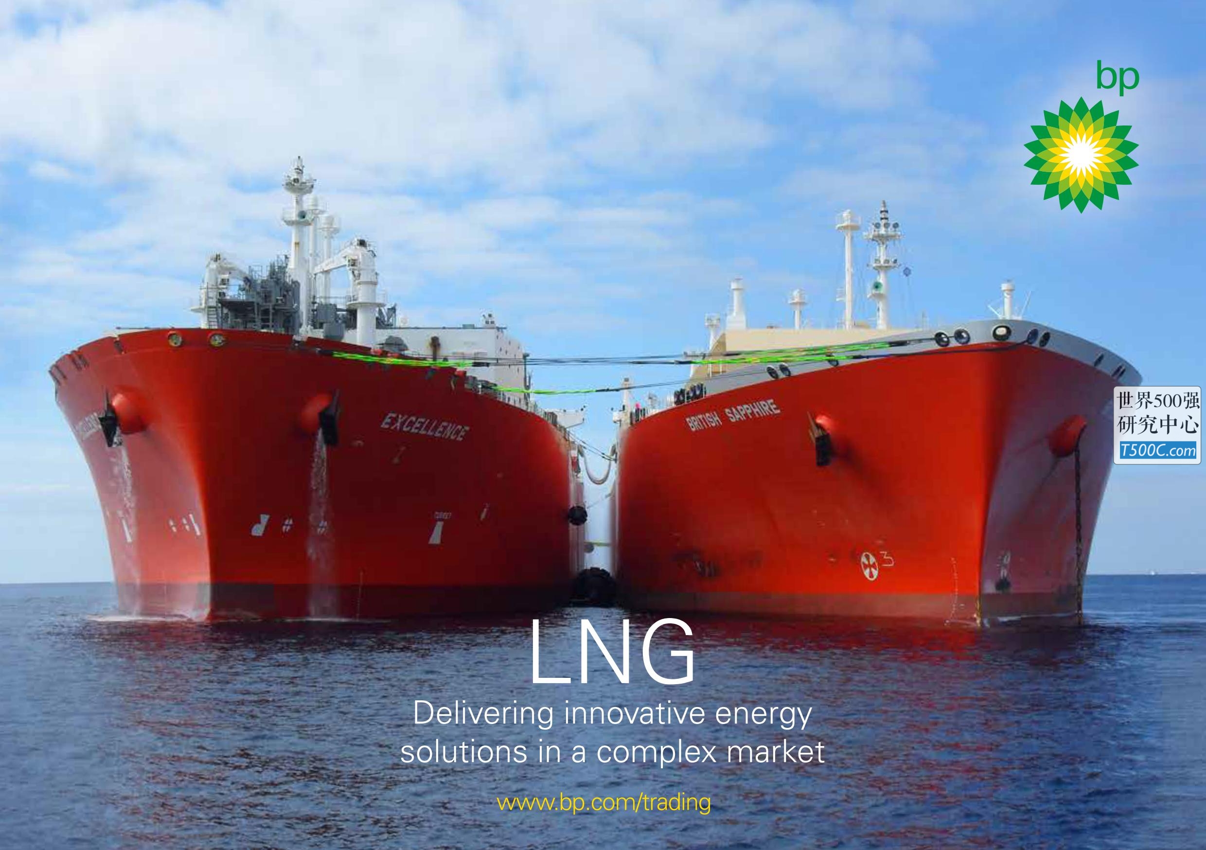 英国石油BP_业务宣传册Brochure_T500C.com_LNG 2018.pdf