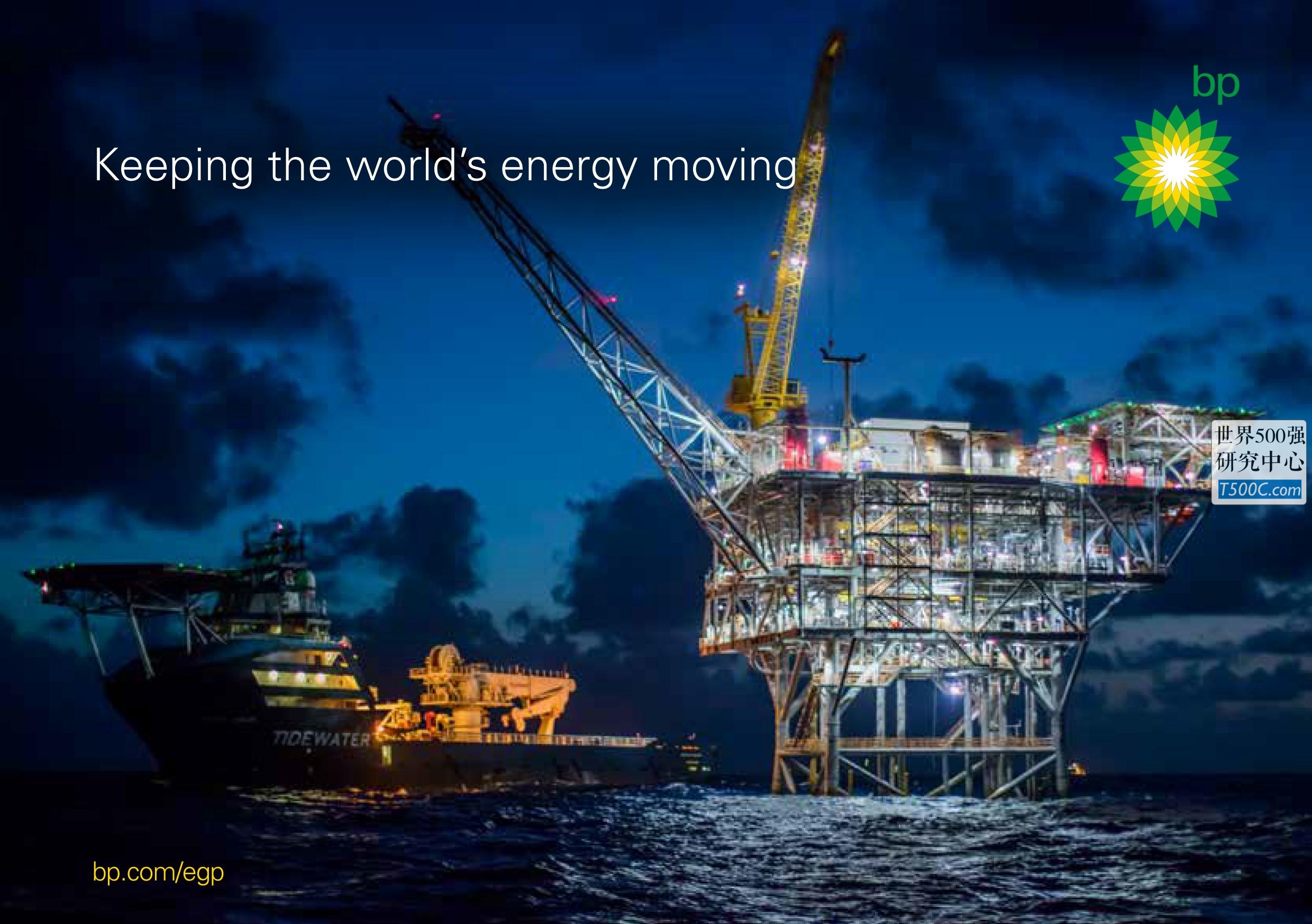 英国石油BP_见解宣传册Brochure_T500C.com_european-gas-and-power 2019.pdf